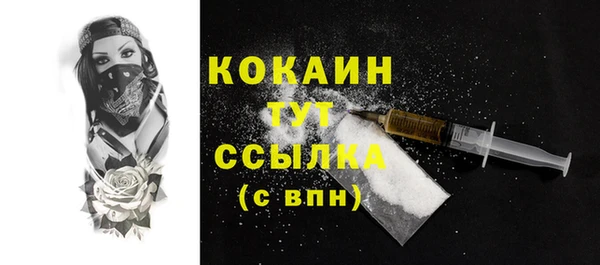 шишки Гусев