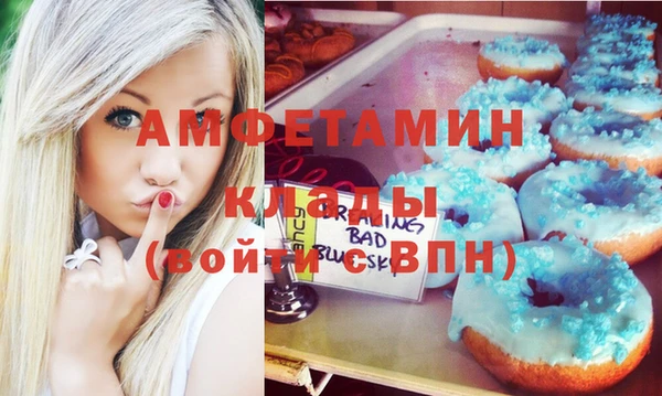 ГАЛЛЮЦИНОГЕННЫЕ ГРИБЫ Горняк