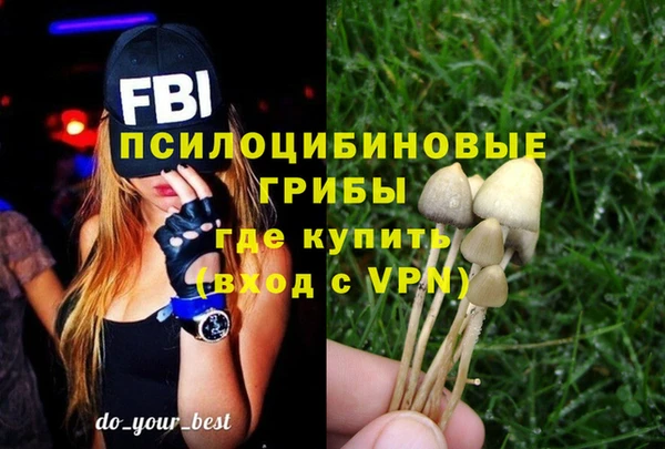 индика Михайловск