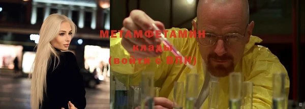 шишки Гусев