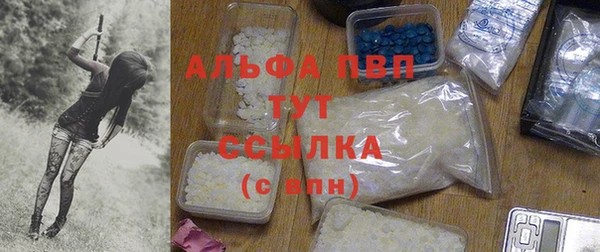шишки Гусев