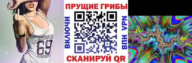 Псилоцибиновые грибы Magic Shrooms  сайты даркнета клад  Заозёрный  ОМГ ОМГ ТОР 